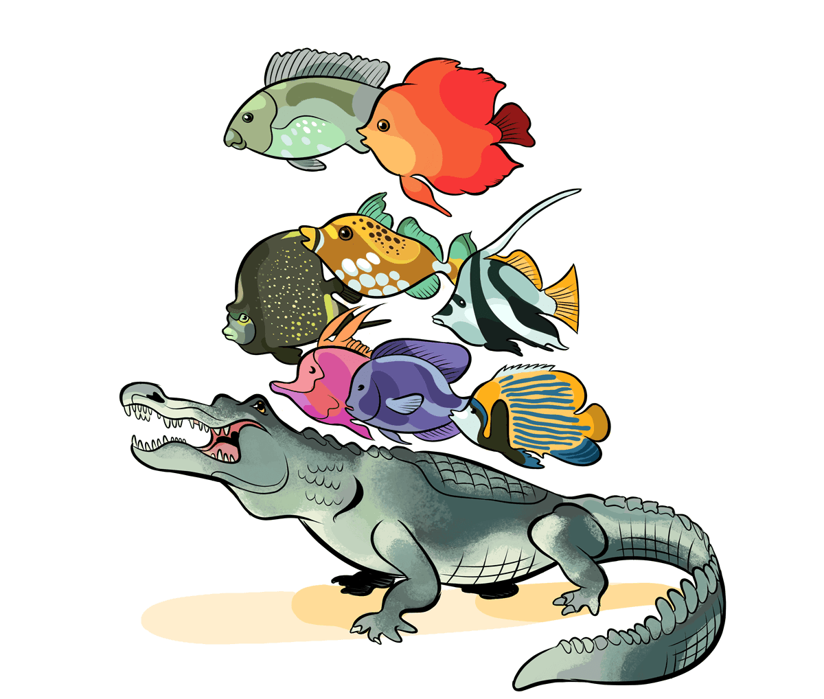 1_Alligator