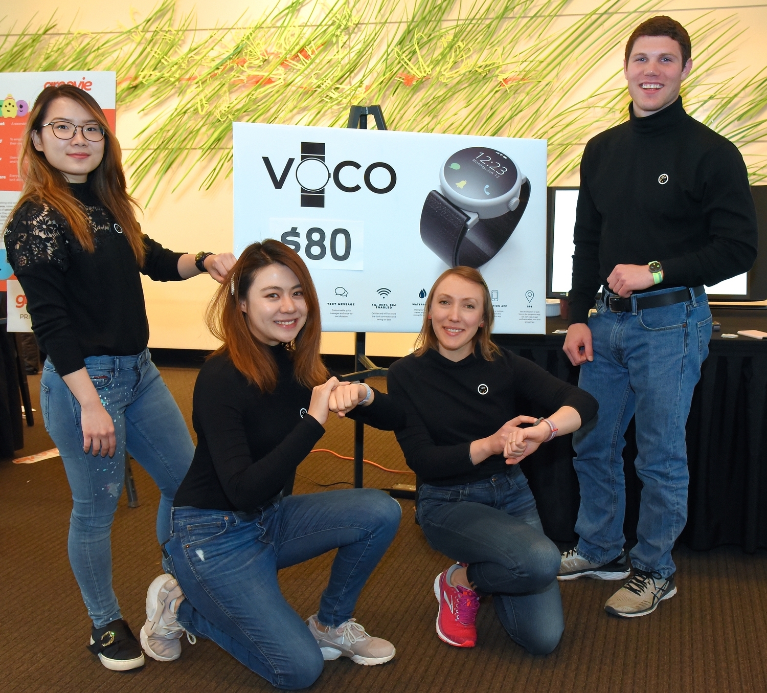 ipd_voco_group